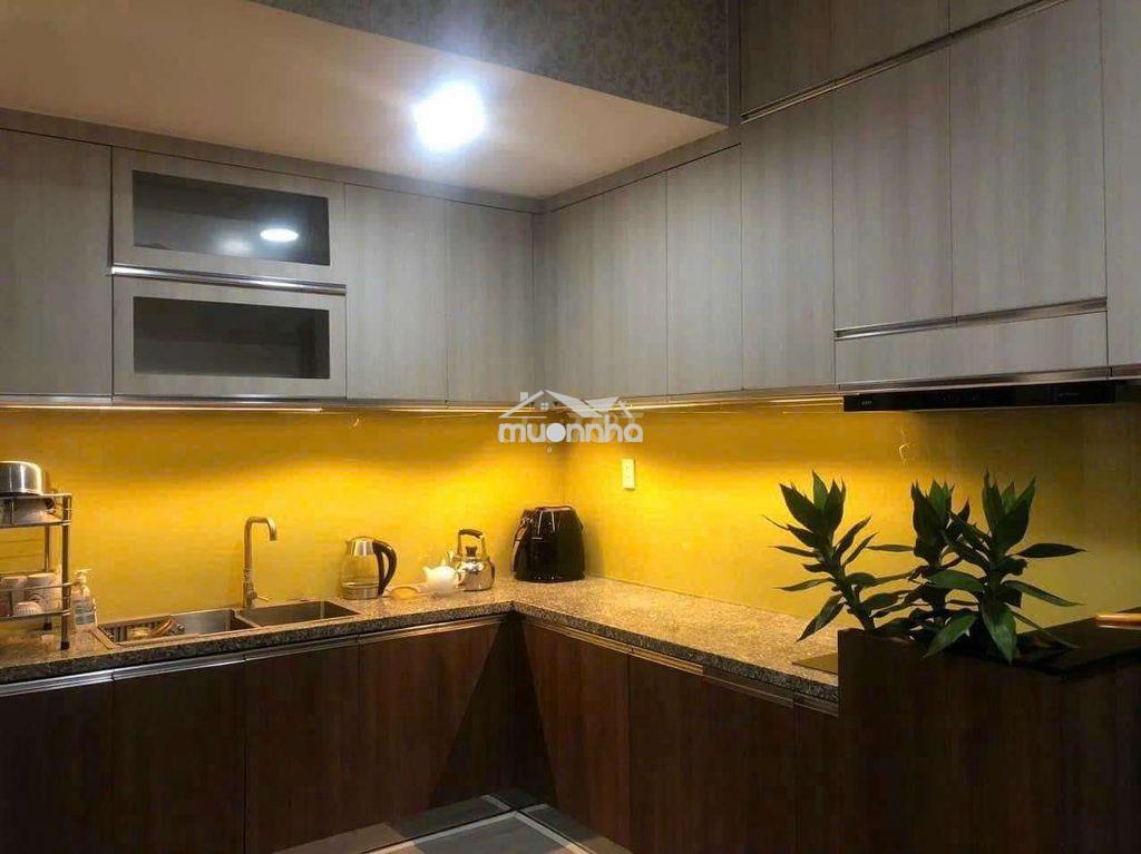 Cho thuê căn hộ 1pn=>4pnruby,emerlad,diamond celadon city quận tân phú - 4
