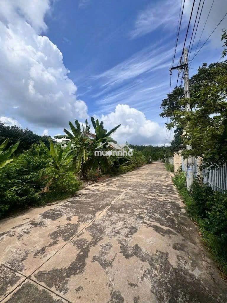 Bán gấp 275m2 giá 590tr bao sổ, dân đông, cách tiện ích trung tâm 200m - Ảnh 3