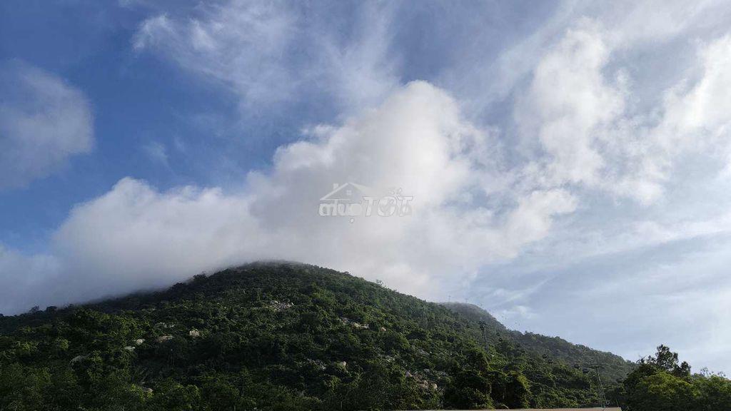 Đất ruộng cần bán - Ảnh 3