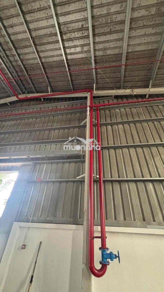 Cho thuê xưởng 1700m gần kcn nam tân uyên - Ảnh 2