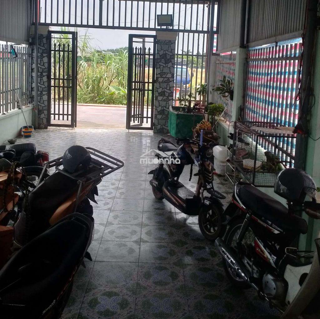 Cần bán về quê - Ảnh 2