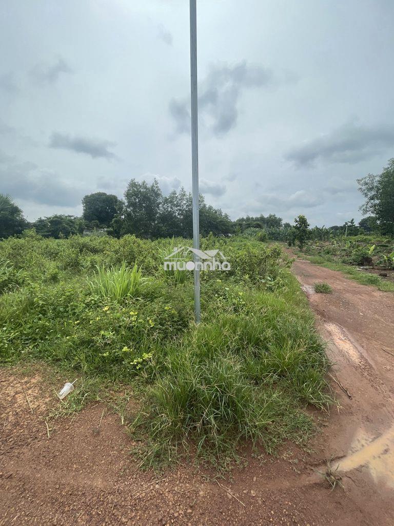 Cần bán - 3