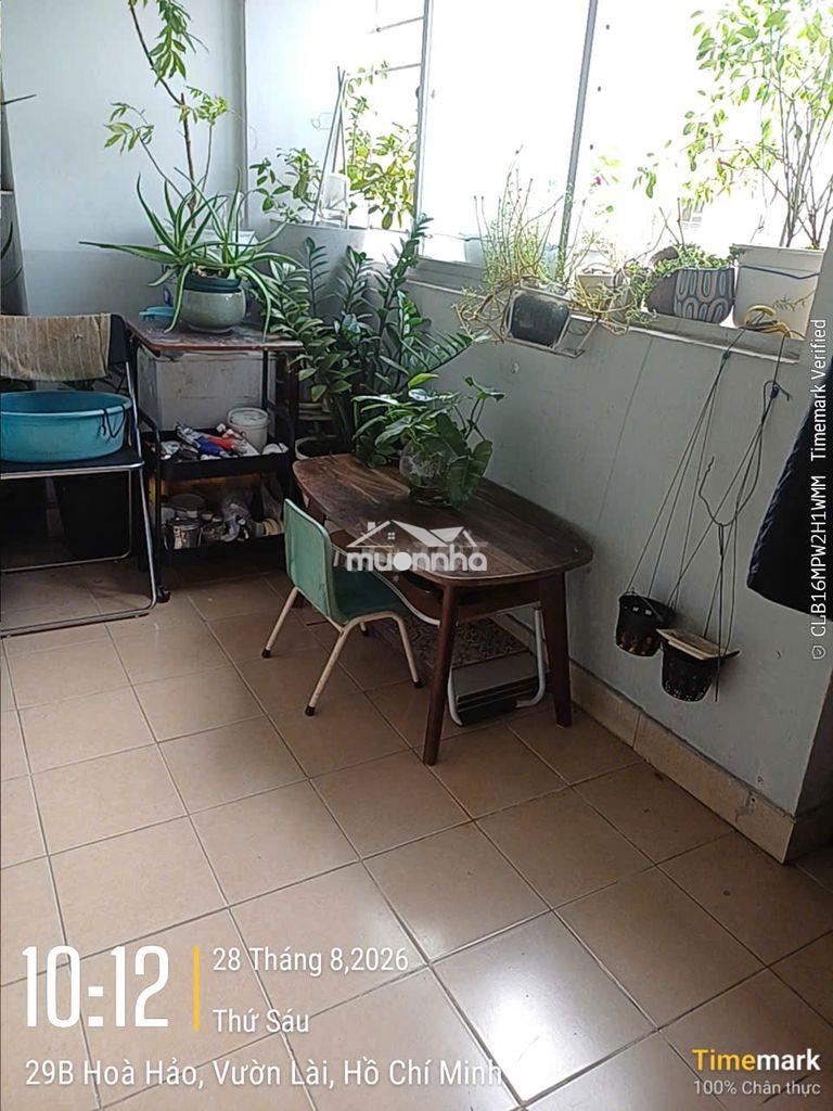 Cao ốc ngô gia tự 90m 3pn q10 đường hoà hảo.