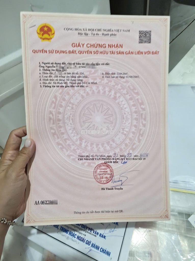 Bán đất trồng cây hàng năm (hoa màu) - cận lộ, giá tốt - Ảnh 3
