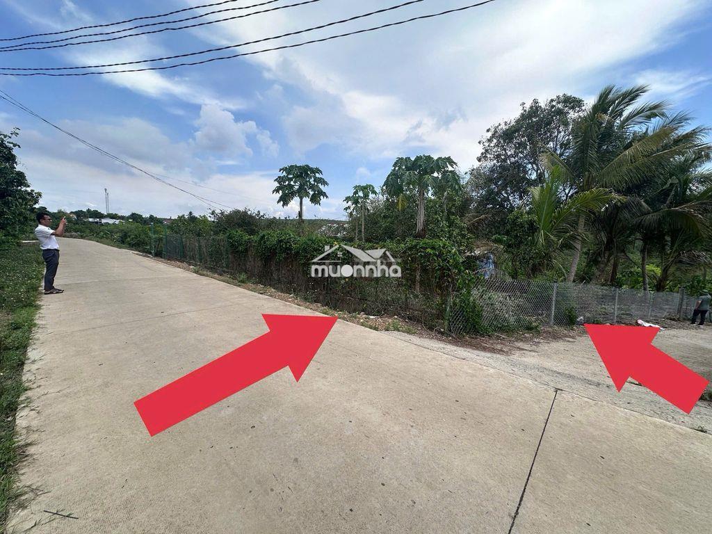 Bán đất vườn 1150m2, lô góc 2 mặt tiền đường bê tông ôtô vivu sát ql20 - 2
