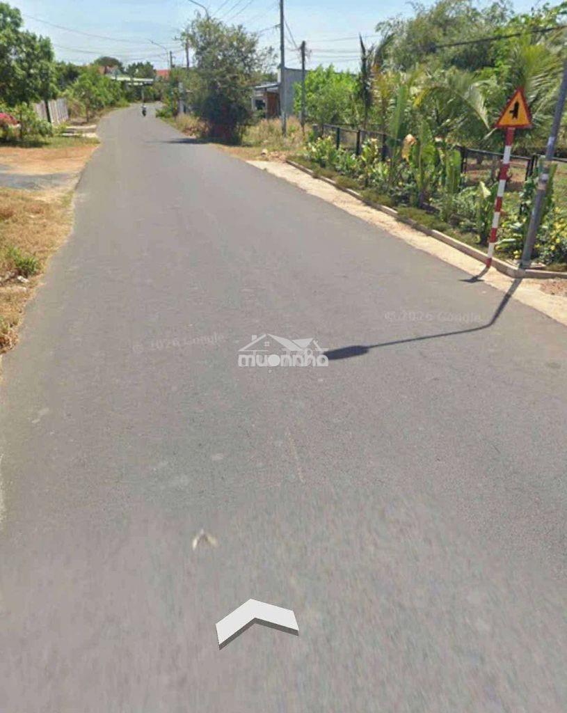 1850m2 lô farm nghỉ dưỡng hồ tràm- 2 mặt tiền cạnh melia& casino- shcc - Ảnh 3