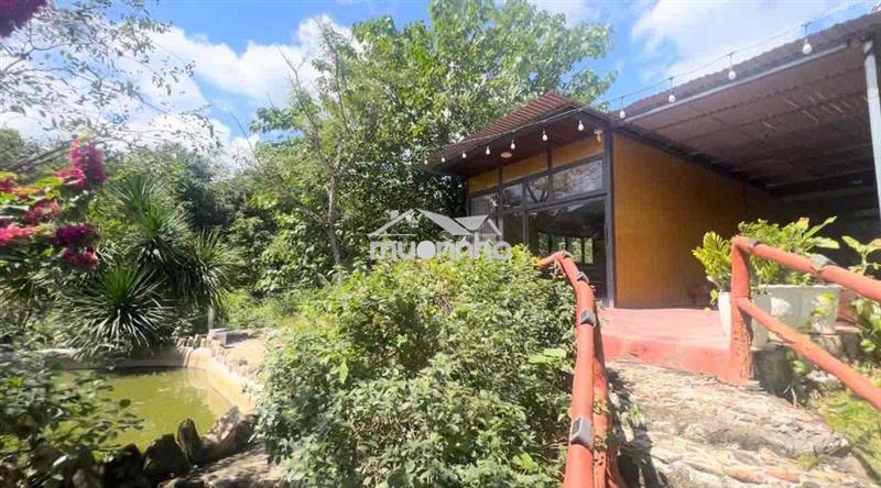 Cho thuê 3 nhà sân vườn nghỉ dưỡng biệt lập 2000m2