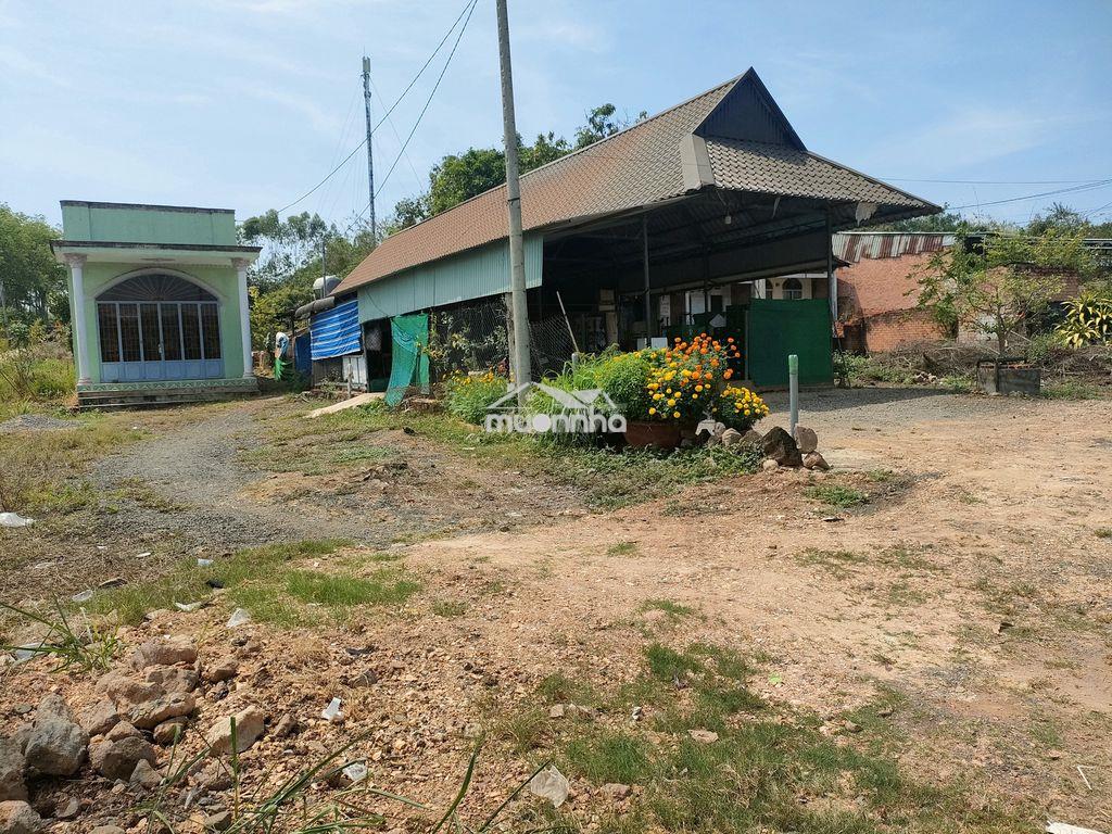 Bán đất full thổ cư 150m2 gần quốc lộ 20 chỉ 40m, ngân hàng hỗ trợ 80% - Ảnh 3