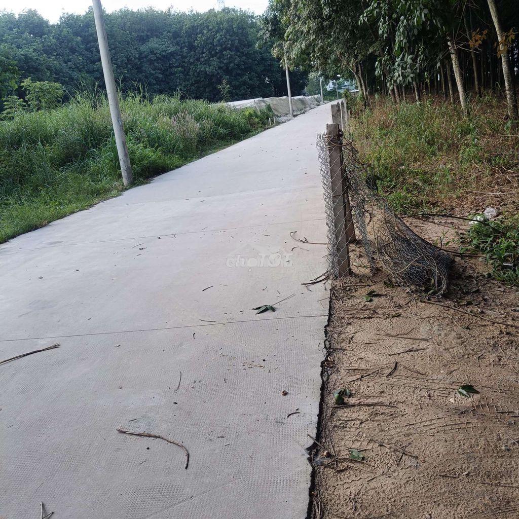 Cho thuê mặt bằng kho baic - 3