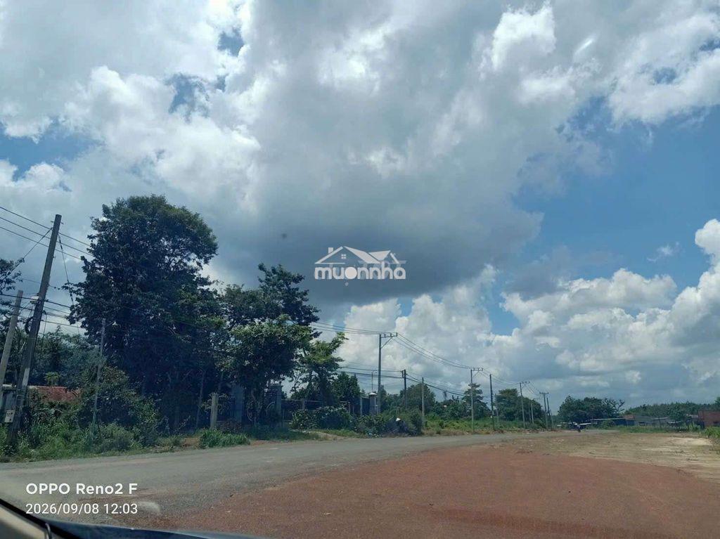 Chính chủ cần bán mảnh đất 500m2 có 100thổ cư đường nhựa 42m dân đong - Ảnh 3