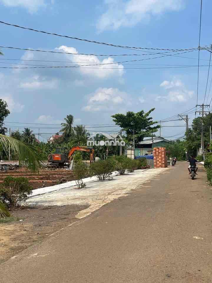 Đất so riêng thổ cu - Ảnh 2