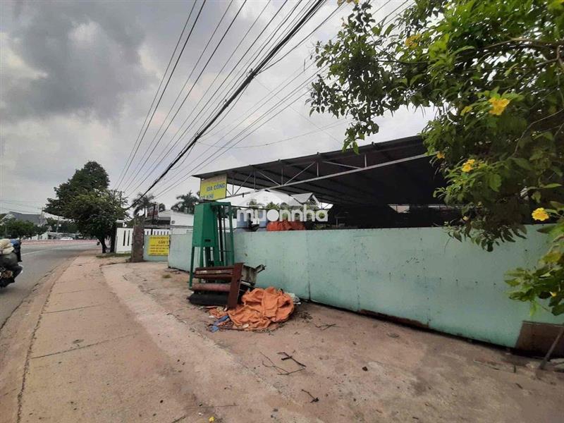 Bán đất tặng nhà xưởng 2.000m mặt tiền đường đại lộ bình dương