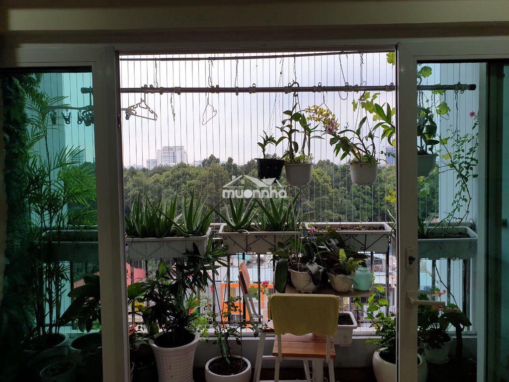 🔥Cao ốc phú nhuận, 2pn=14.5tr |3pn=20tr full nội thất - tin & giá thật - Ảnh 2