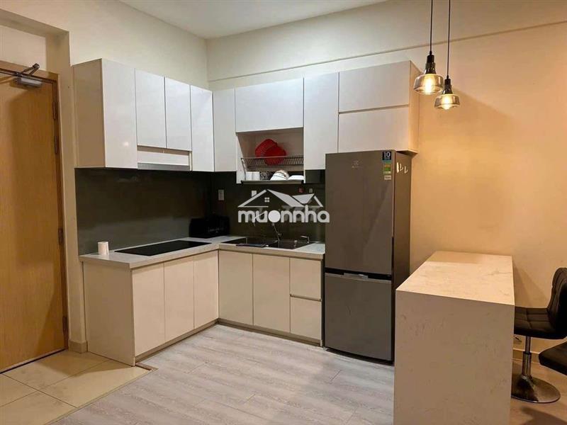 Cho thuê căn hộ duplex chung cư m-one 1 phòng ngủ