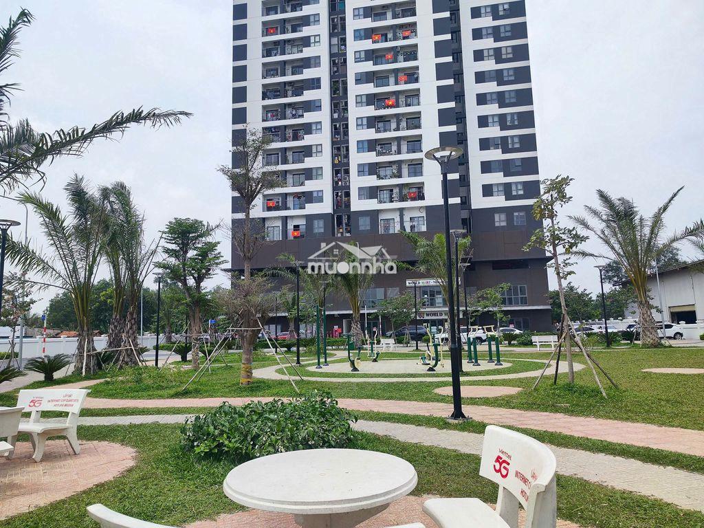 Căn hộ lê phong ( new lavida ) gần 550 vincom 62m2 giá 2.2 tỷ shr - Ảnh 2