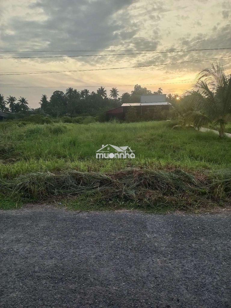 Bán đất chính chủ  - Ảnh 3
