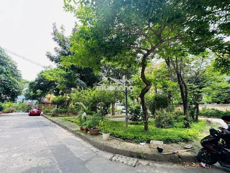Bán đất khu biệt thự vườn đào 300m2 - 165 tỷ, 185m2 - 92 tỷ. xây cao - Ảnh 2