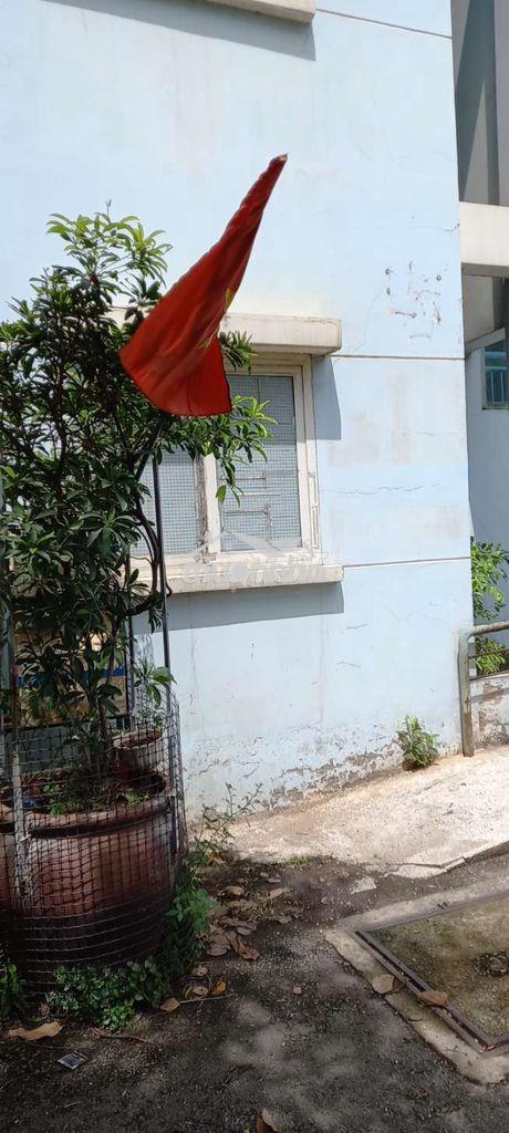 Bán căn hộ chung cư , tầng trệt , có sân trồng cây , sân đậu ô tô  - 2