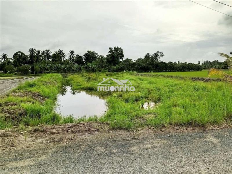 Bán đất chính chủ 
