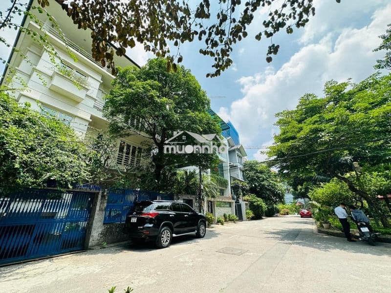 Bán đất khu biệt thự vườn đào 300m2 - 165 tỷ, 185m2 - 92 tỷ. xây cao - Ảnh 3