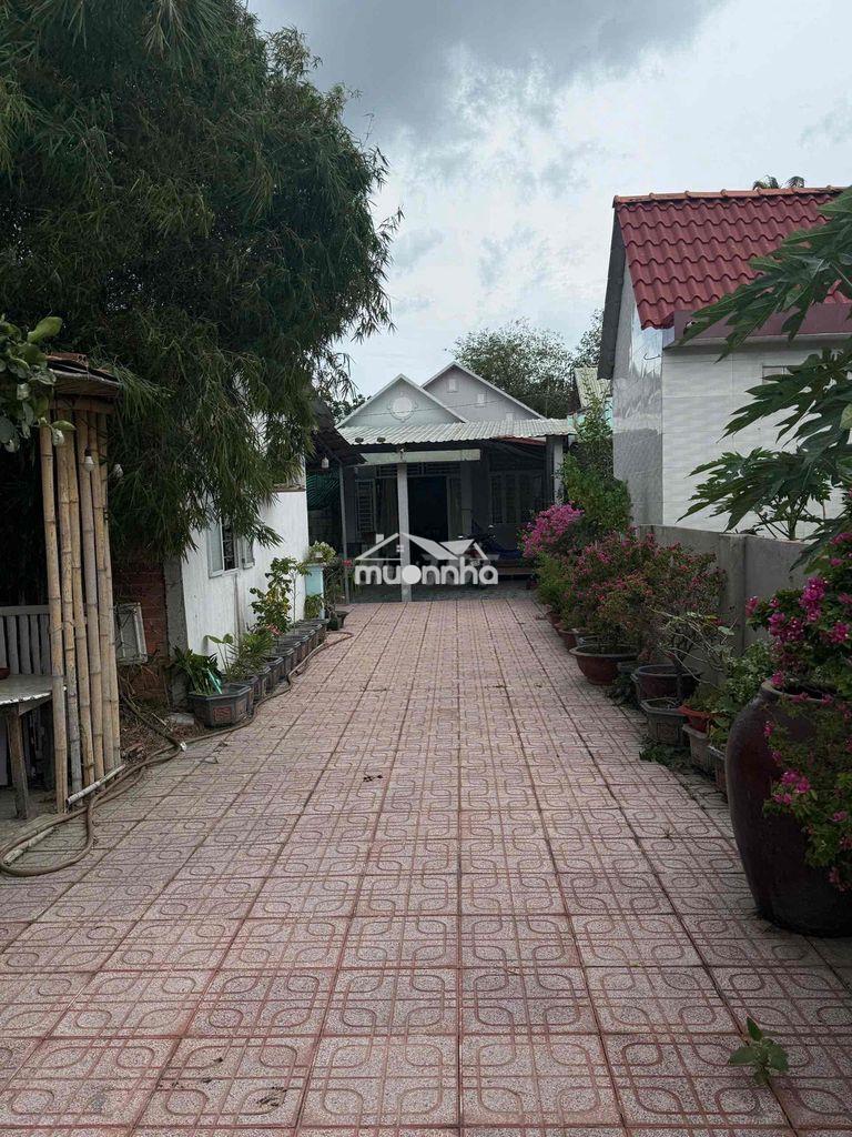 Chủ ngộp bán gấp nhà vườn 287m² thuận an, giá tốt 3 tỉ 2 - Ảnh 4