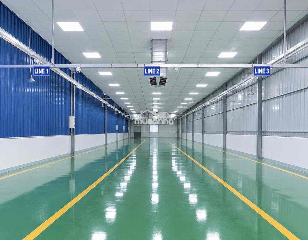 Cho thuê xưởng 300m2 gần chợ thông dụng - an phú - Ảnh 2