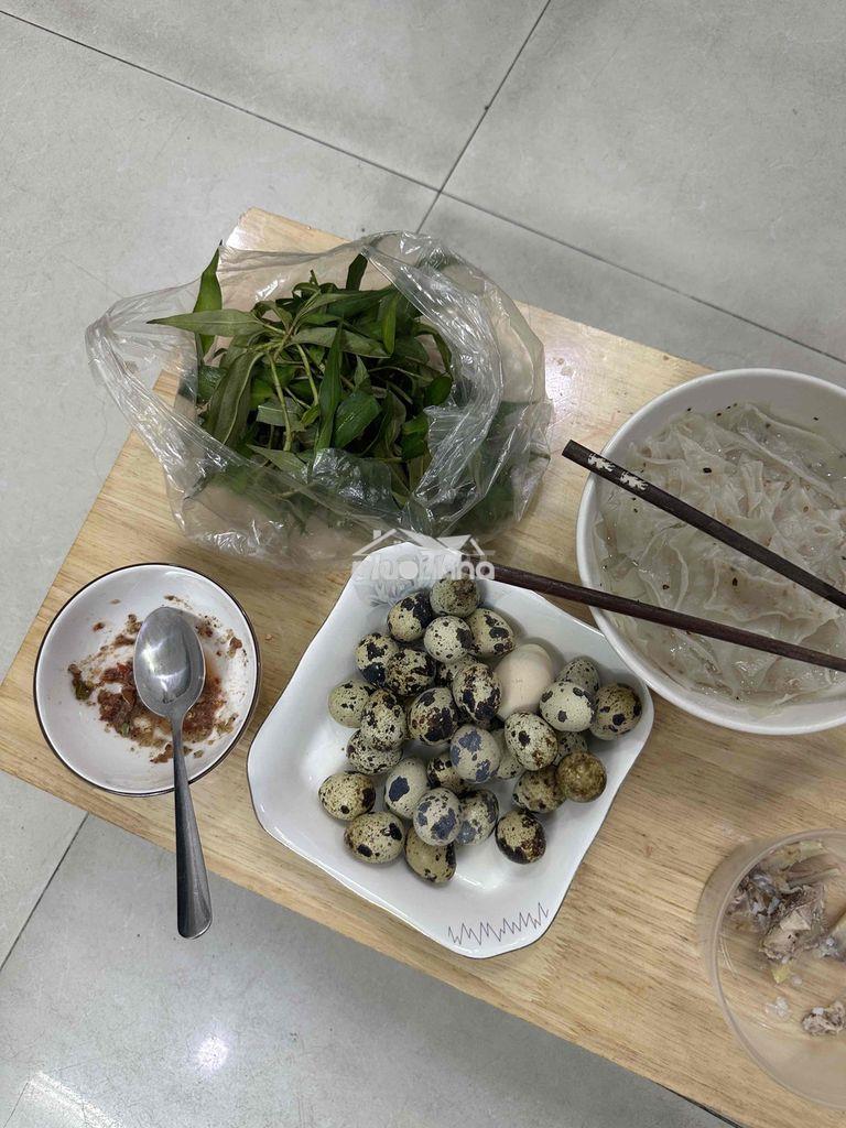 Nhà đẹp [ 4 x 15] 1 lầu ( 2pn,2wc) —dường tân kỳ -tân quý,bình tân - Ảnh 3