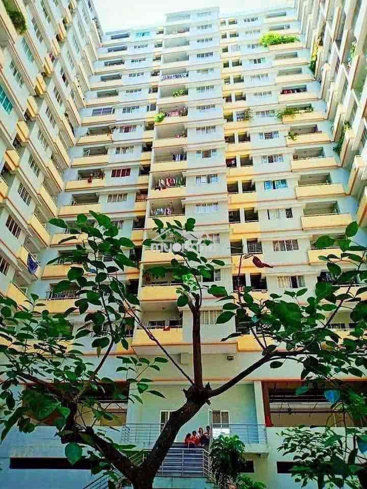 Bán căn hộ có sổ hồng riêng - Ảnh 2
