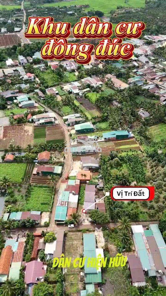 Bán đất nền ,đất ở giá rẻ - Ảnh 3