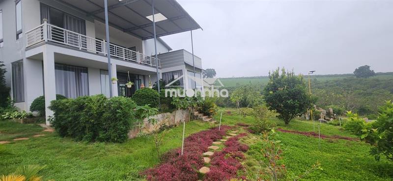 Cho thuê nhà biệt thự vườn 6000m2