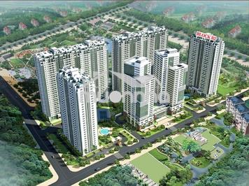 Chính chủ cho thuê căn giai việt