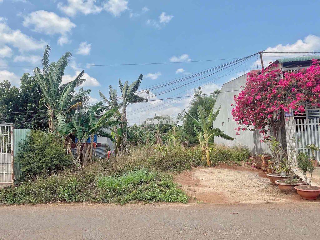 Đất tc hẻm triệu quang phục gần chợ thành nhất 5x22 1,45 tỷ đương nhua - Ảnh 2