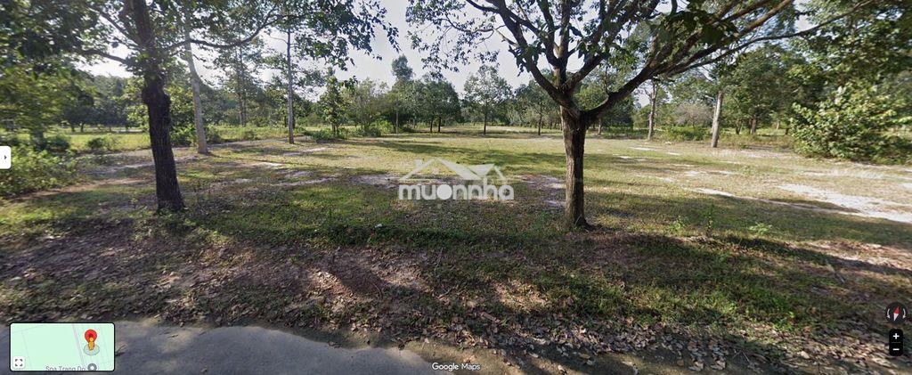 🔥 Đất 231,2m² – đất ở lâu dài | giá 3,77 tỷ - Ảnh 2