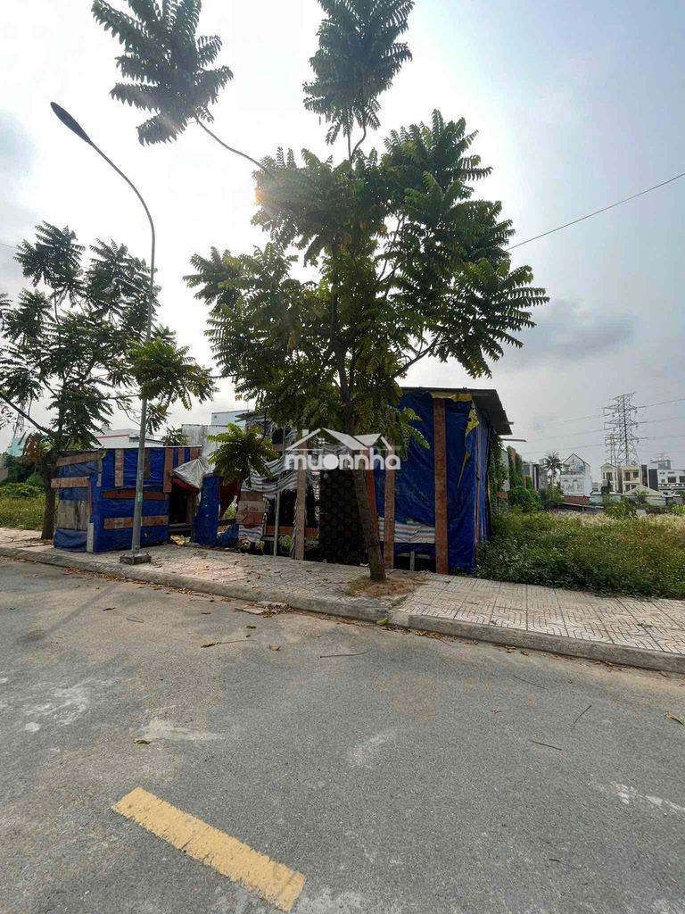 Đất thổ cư khu đồng bộ phường an phú đông quận 12 tphcm - Ảnh 2