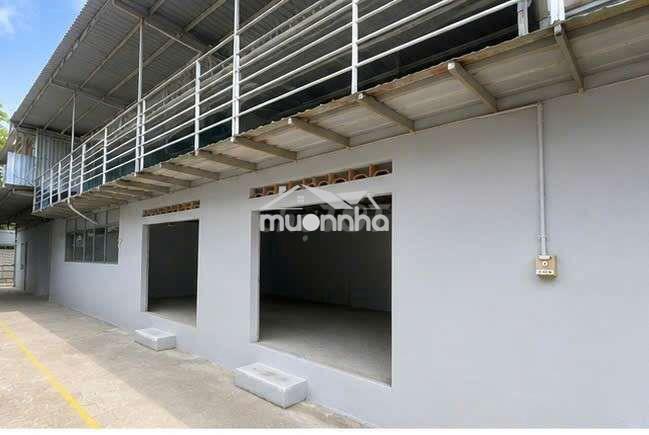 Nhà kho cũ vĩnh phú 20 201m2 đường xe hơi tiện xây mới để ở làm kho - Ảnh 4