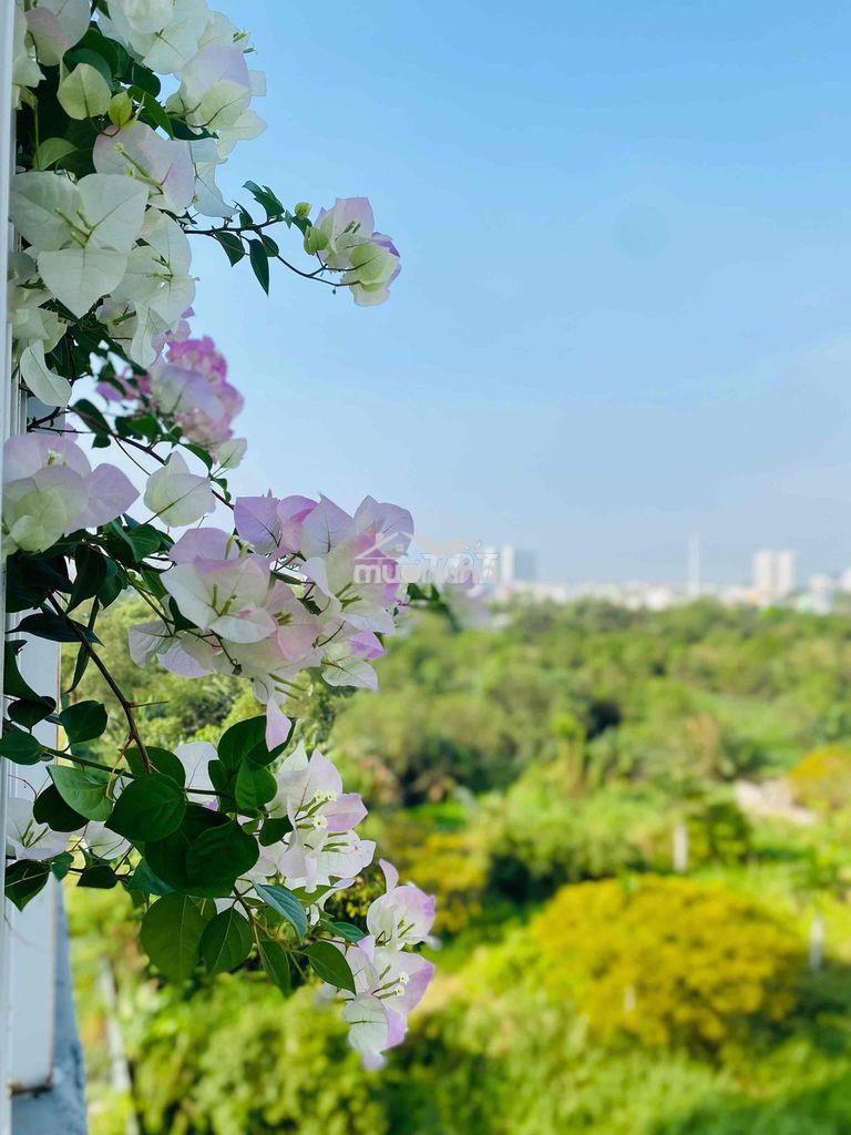 Cho thuê căn hộ ehome s khu mizuki - Ảnh 3
