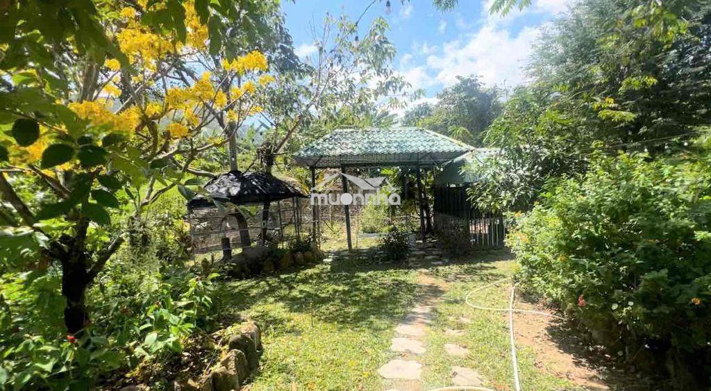 Cho thuê 3 nhà sân vườn nghỉ dưỡng biệt lập 2000m2 - Ảnh 3