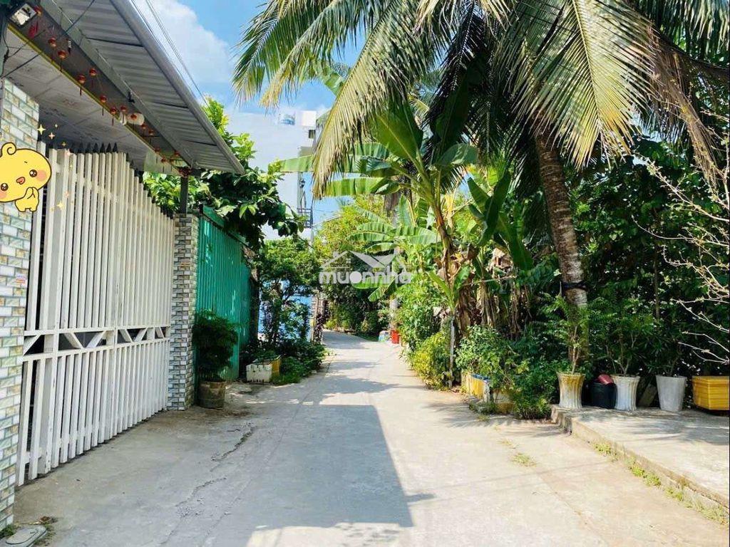 Cho thuê nhà sân vườn 1.300m2 thích hợp ở và kd cà phê sân vườn - 2