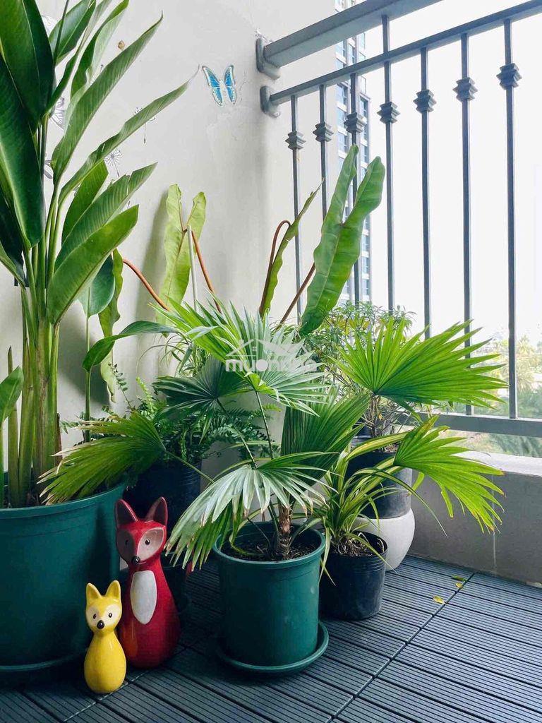 Cho thuê căn 4pn toà central 2 – vinhomes central park - Ảnh 2