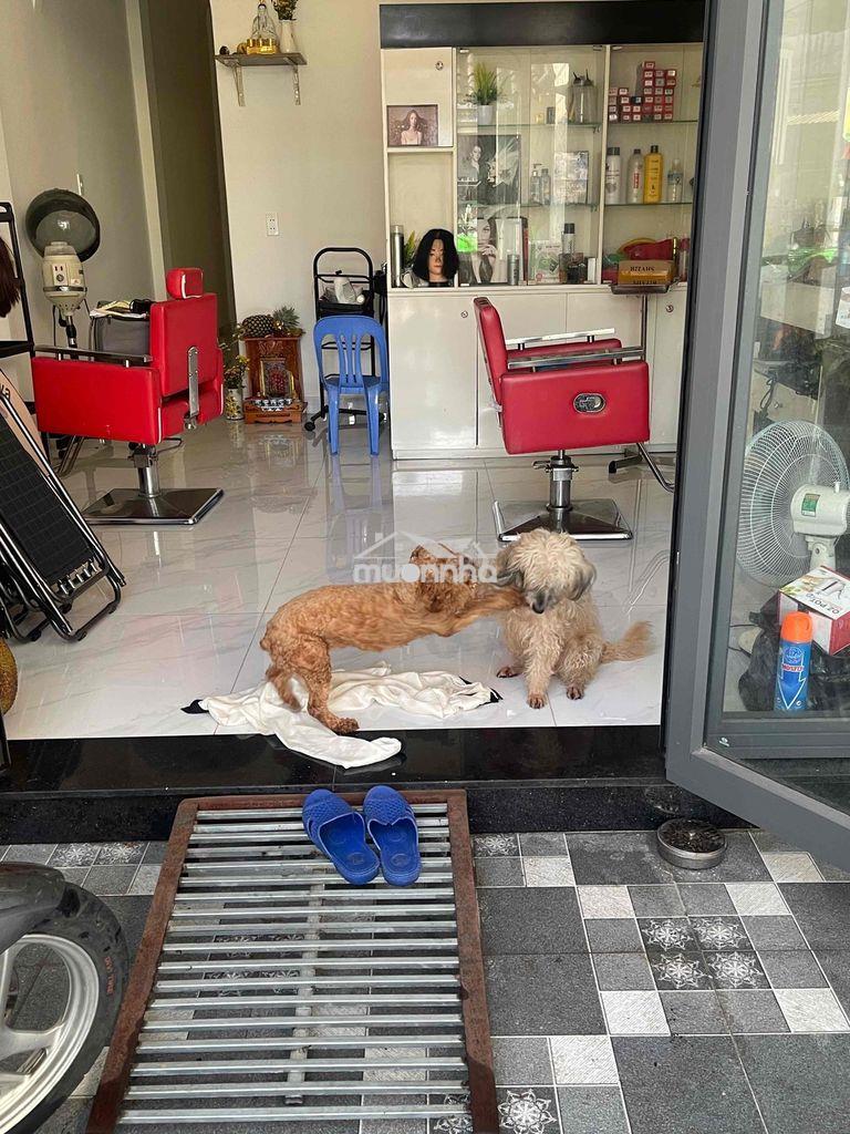 Nhà nguyên căn cho thuê - Ảnh 4