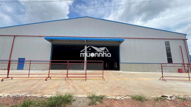 Cho thuê xưởng ở phước hòa , phú giáo