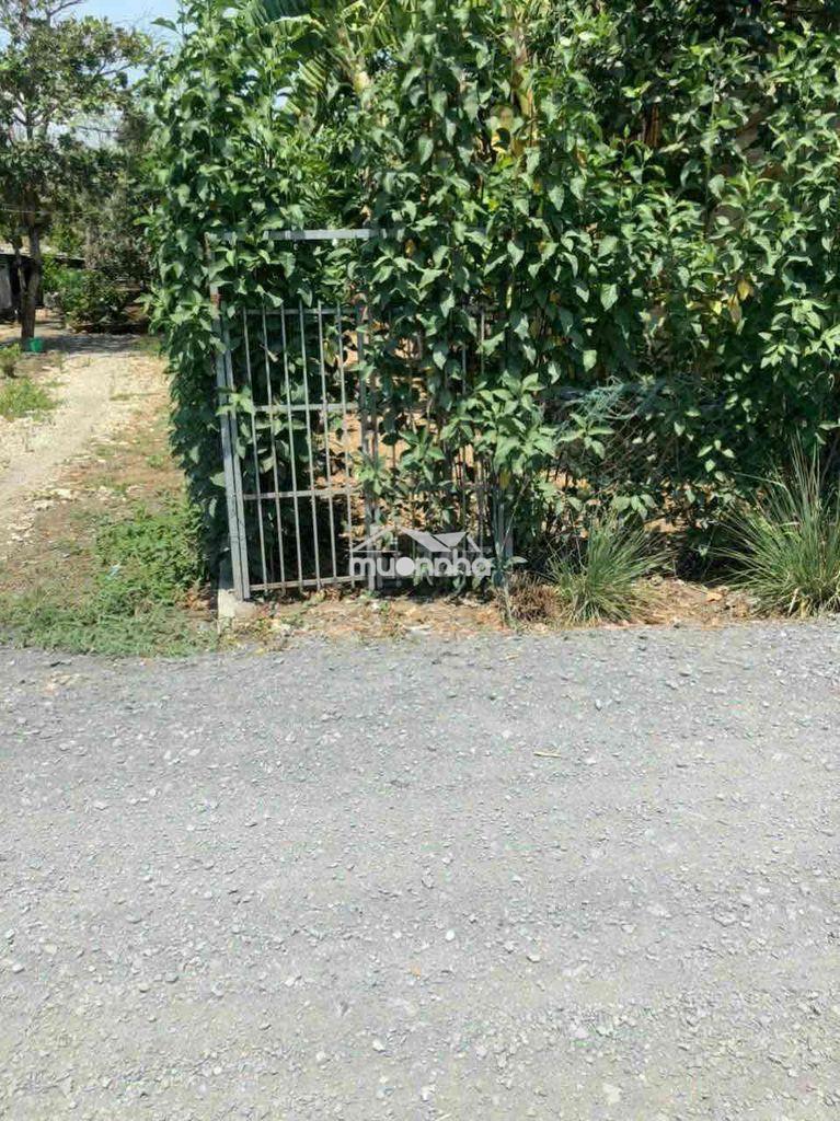 🏡 Đất phong phú – 115m² – giá 1,8 tỷ - Ảnh 2