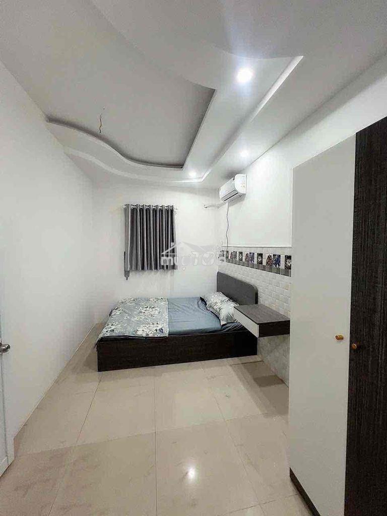 Phòng chdv - hồng bàng + cây gõ - Ảnh 2