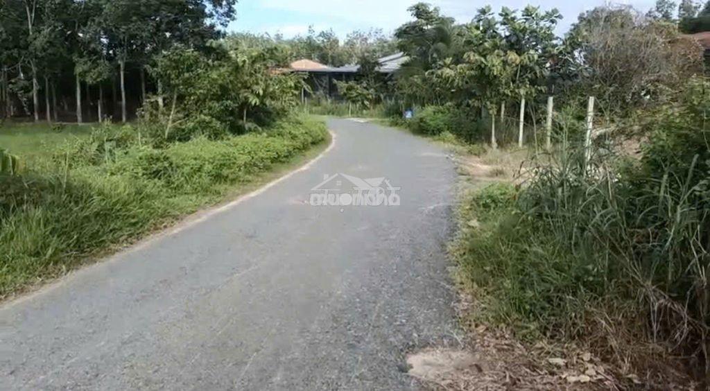 Bán đất giá rẻ - Ảnh 3