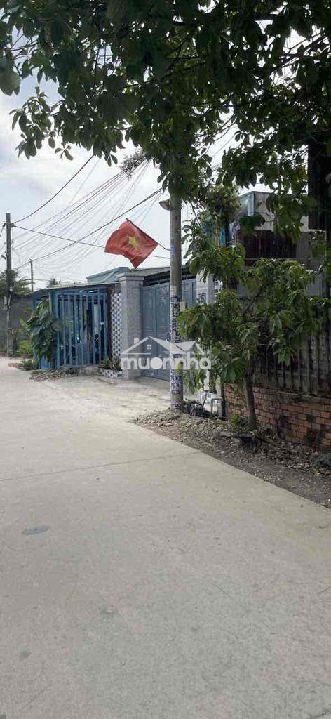 Cần bán nhà 8x20m kinh an hạ - Ảnh 3