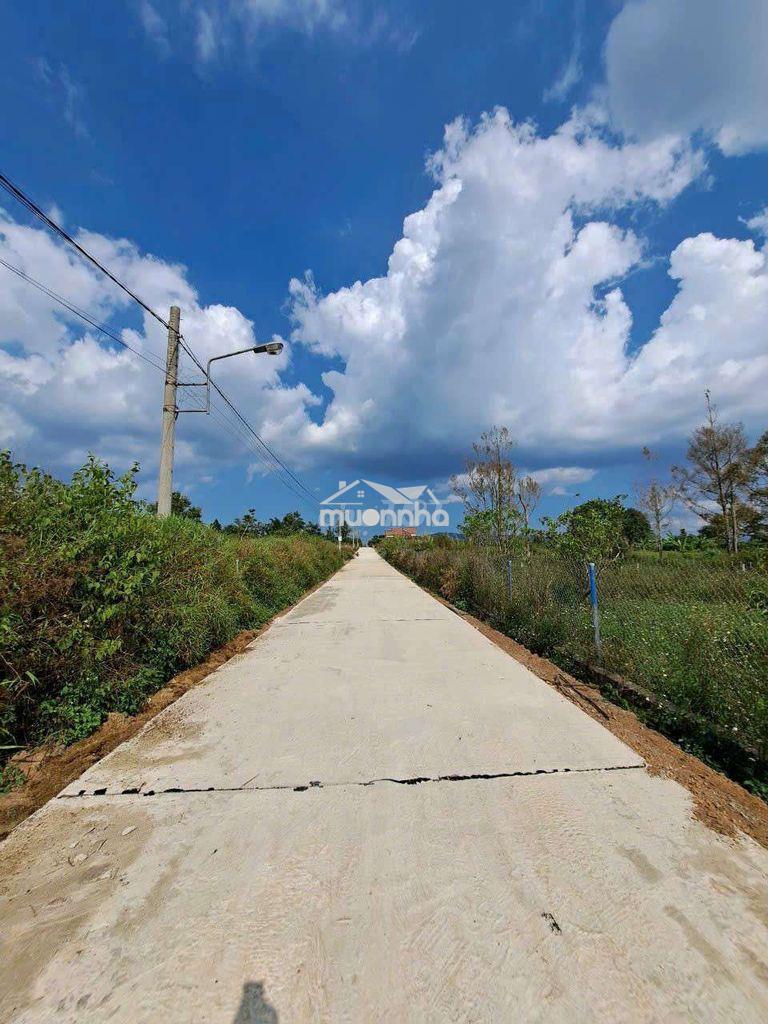 500m2 đất đẹp cần bán cho nhà đầu tư - Ảnh 3