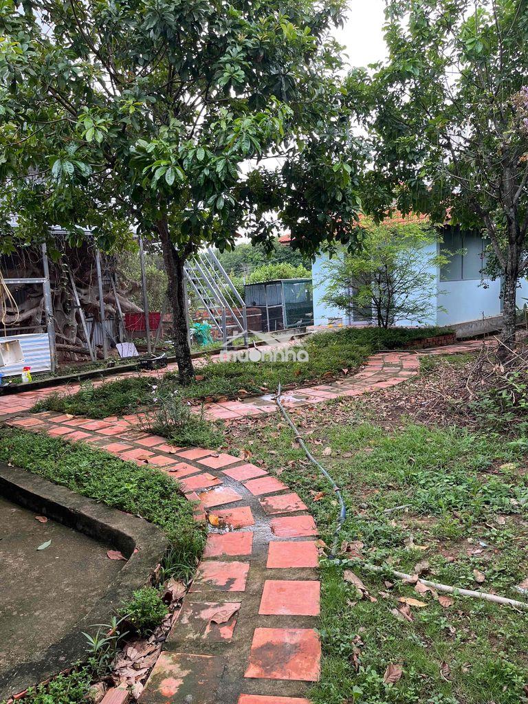 Nhà vườn 2 mặt tiền tâm huyết. - 2