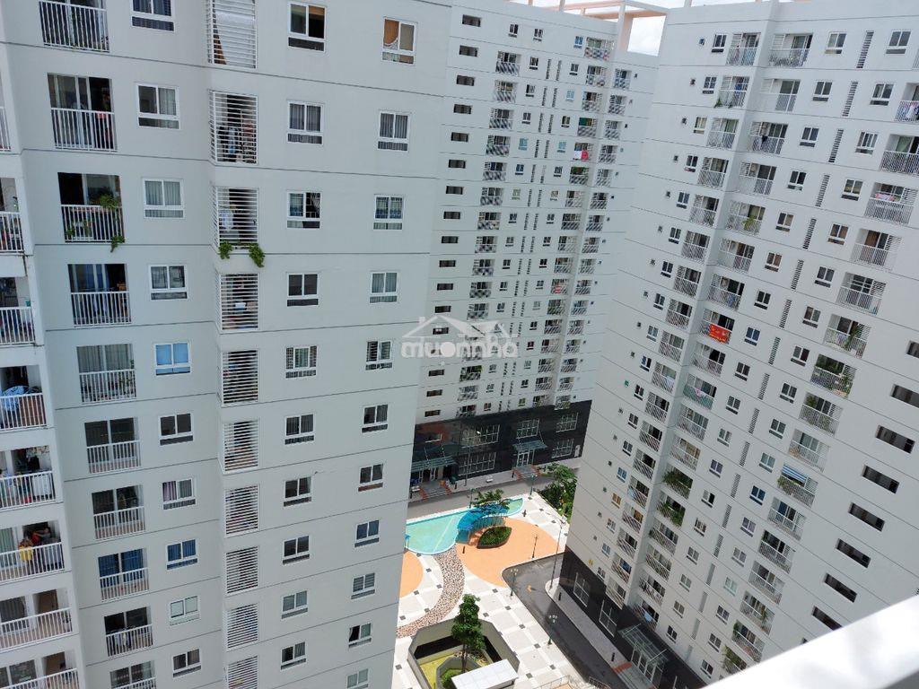 Chuyên cho thuê c/hộ c/cư pegasuite - tara giá rẻ ở liền sát q4,5,6,7 - Ảnh 2