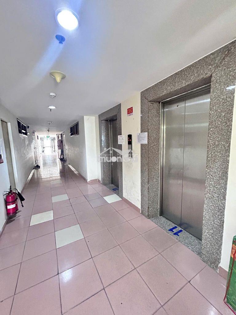 Cần bán căn hộ bông sao, a1 tạ quang bửu, phường 5 quận 8 - Ảnh 4