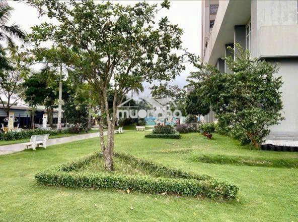 Cc the easter city căn thương mại 54,8m2 2pn shr tặng nội thất - Ảnh 3